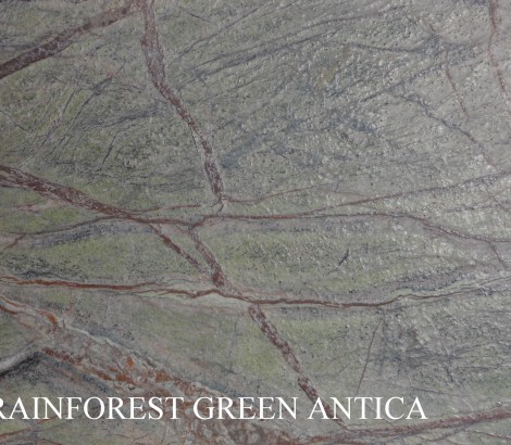 Rainforest green antica1